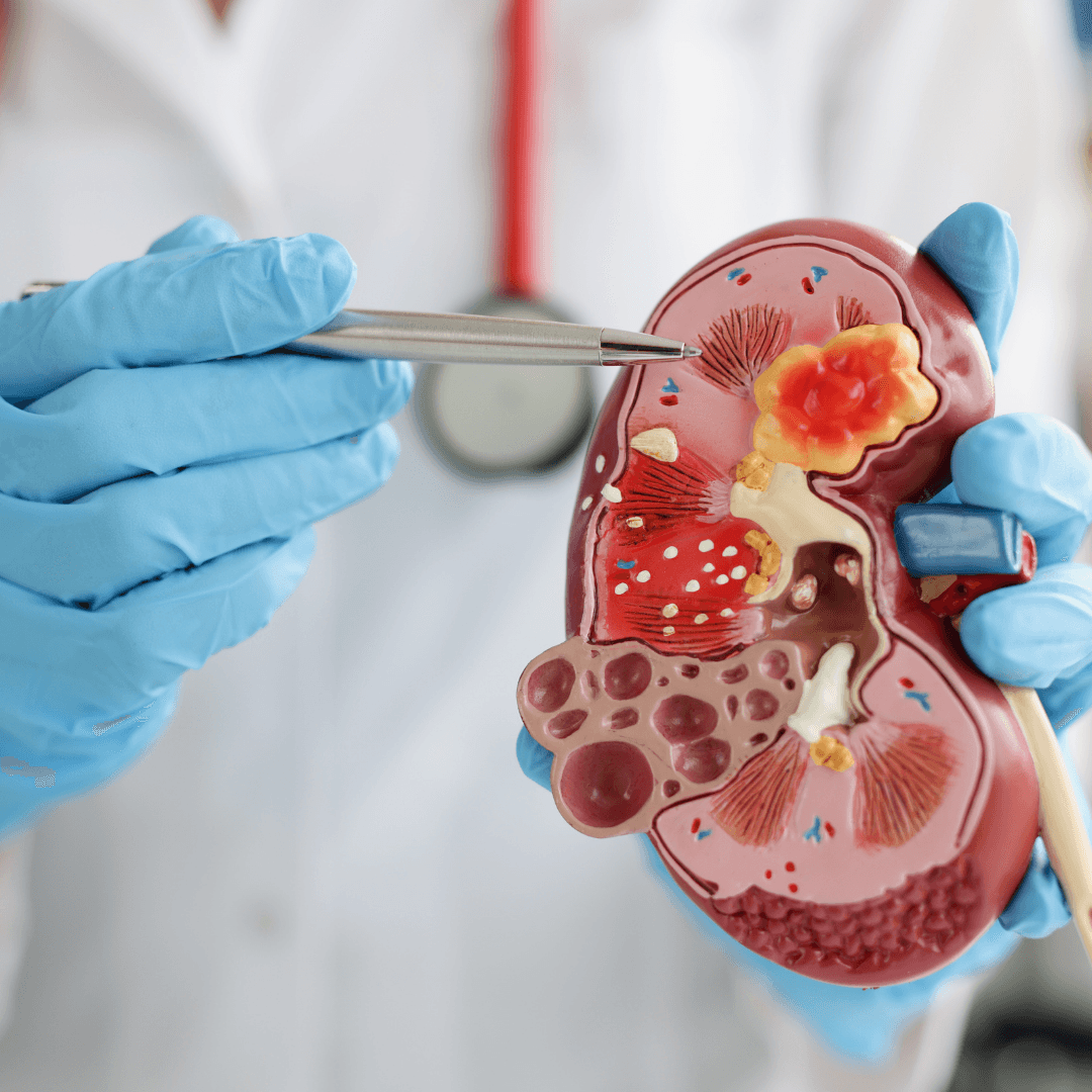 Live Surgery Workshop — Karnal CME 2026